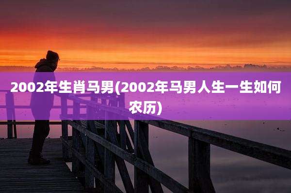 2002年生肖马男(2002年马男人生一生如何农历)