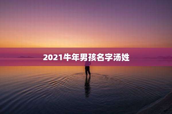 2021牛年男孩名字汤姓
