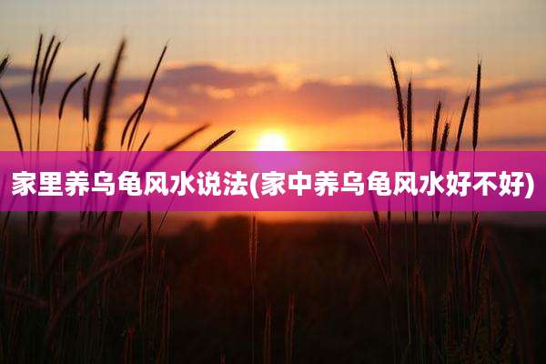 家里养乌龟风水说法(家中养乌龟风水好不好)
