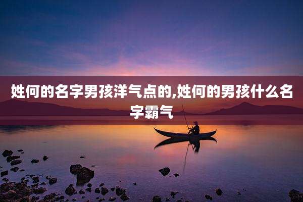 姓何的名字男孩洋气点的,姓何的男孩什么名字霸气