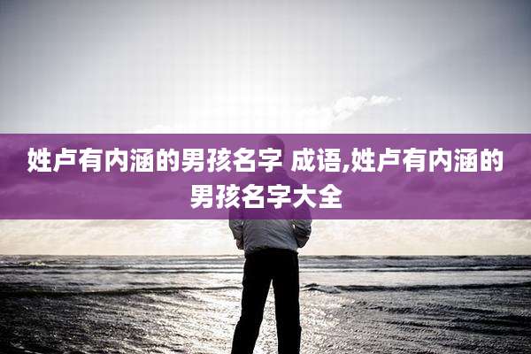 姓卢有内涵的男孩名字 成语,姓卢有内涵的男孩名字大全