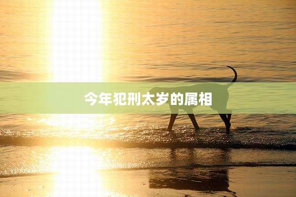 今年犯刑太岁的属相