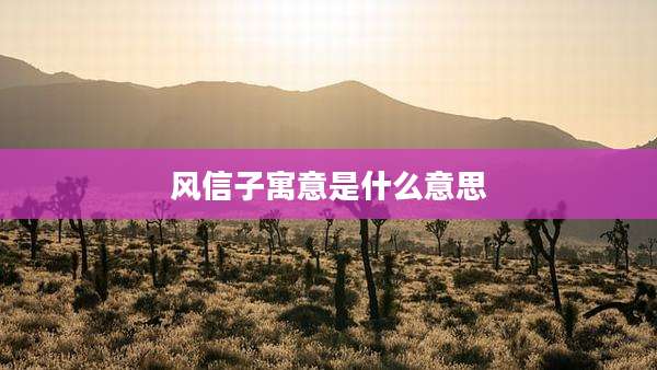 风信子寓意是什么意思
