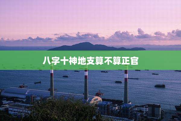 八字十神地支算不算正官