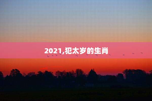 2021,犯太岁的生肖