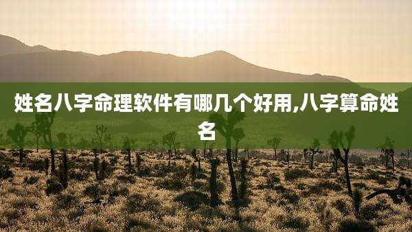 姓名八字命理软件有哪几个好用,八字算命姓名