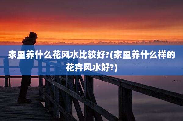 家里养什么花风水比较好?(家里养什么样的花卉风水好?)