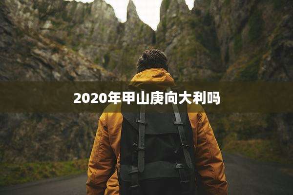 2020年甲山庚向大利吗