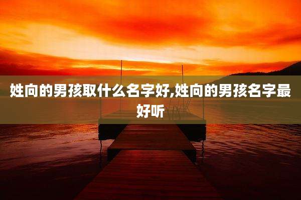 姓向的男孩取什么名字好,姓向的男孩名字最好听