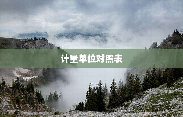 计量单位对照表