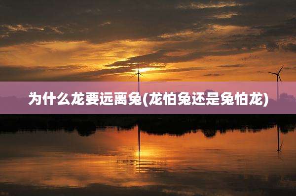 为什么龙要远离兔(龙怕兔还是兔怕龙)