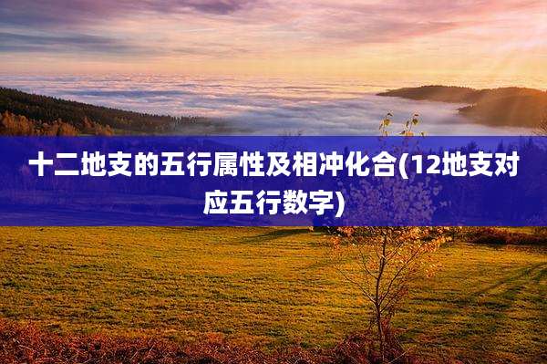 十二地支的五行属性及相冲化合(12地支对应五行数字)