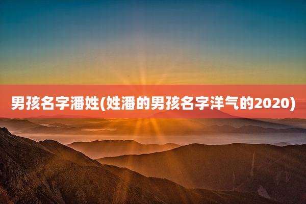 男孩名字潘姓(姓潘的男孩名字洋气的2020)