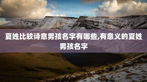 夏姓比较诗意男孩名字有哪些,有意义的夏姓男孩名字