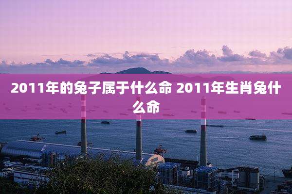 2011年的兔子属于什么命 2011年生肖兔什么命