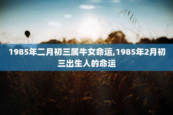 1985年二月初三属牛女命运,1985年2月初三出生人的命运
