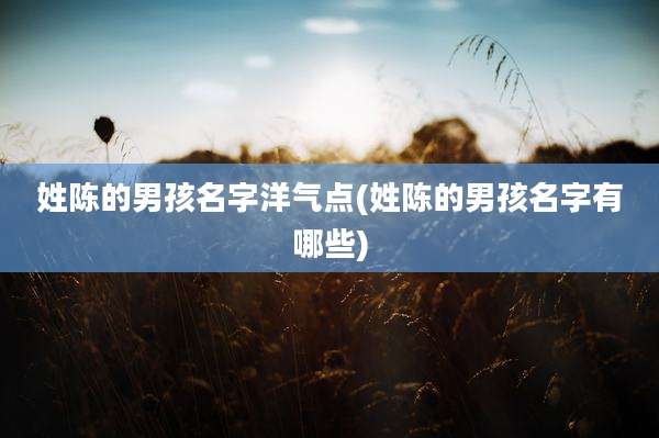 姓陈的男孩名字洋气点(姓陈的男孩名字有哪些)