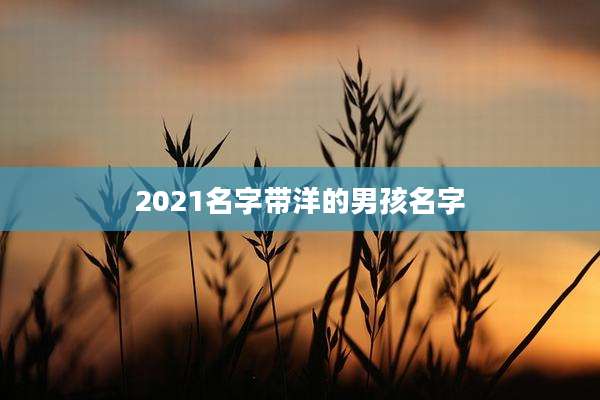 2021名字带洋的男孩名字