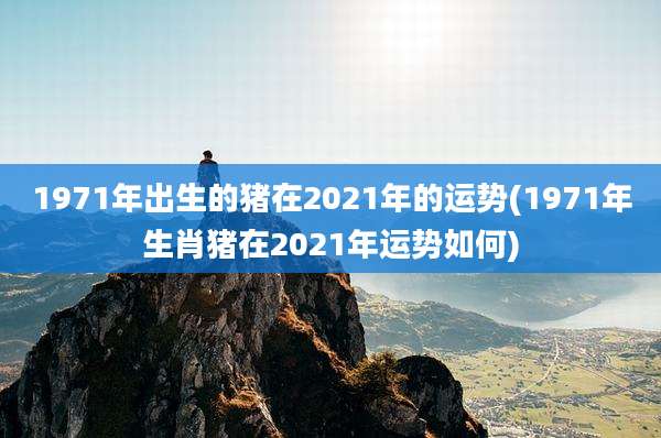 1971年出生的猪在2021年的运势(1971年生肖猪在2021年运势如何)