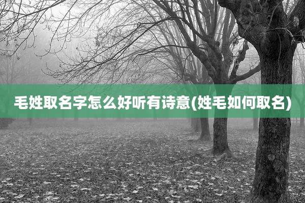 毛姓取名字怎么好听有诗意(姓毛如何取名)