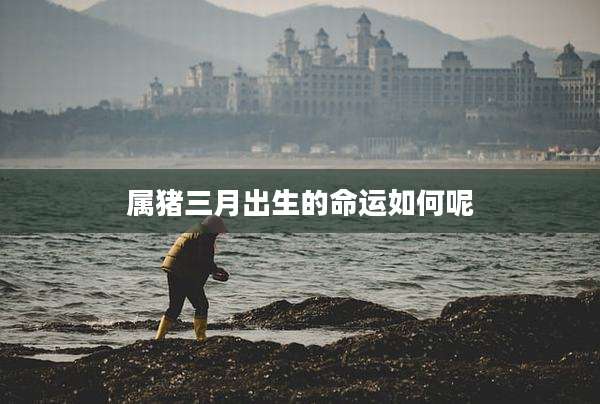属猪三月出生的命运如何呢