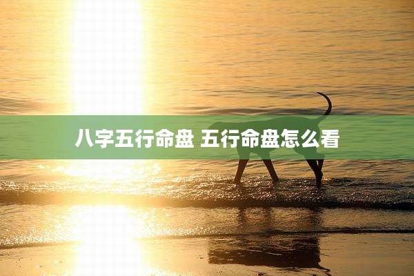 八字五行命盘 五行命盘怎么看