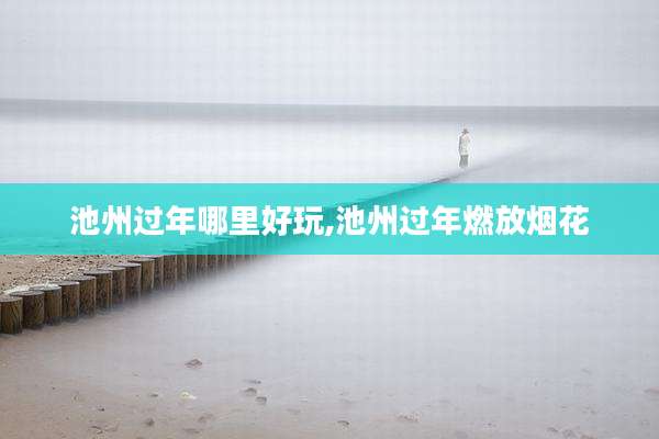 池州过年哪里好玩,池州过年燃放烟花