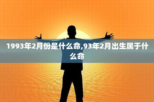 1993年2月份是什么命,93年2月出生属于什么命