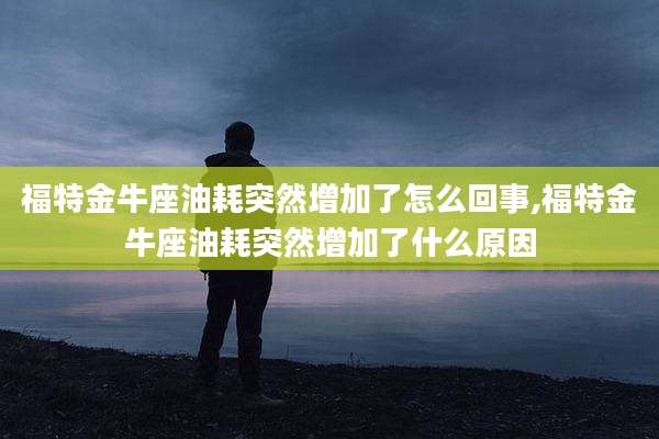 福特金牛座油耗突然增加了怎么回事,福特金牛座油耗突然增加了什么原因