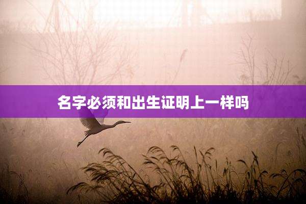名字必须和出生证明上一样吗