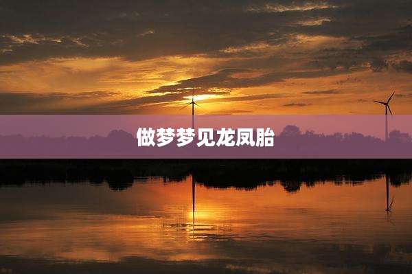 做梦梦见龙凤胎