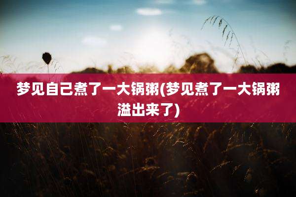 梦见自己煮了一大锅粥(梦见煮了一大锅粥溢出来了)