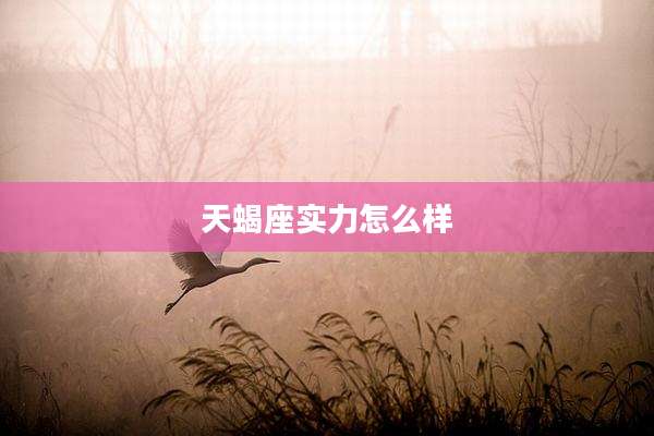 天蝎座实力怎么样