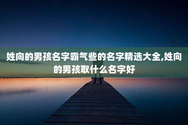 姓向的男孩名字霸气些的名字精选大全,姓向的男孩取什么名字好
