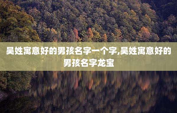 吴姓寓意好的男孩名字一个字,吴姓寓意好的男孩名字龙宝