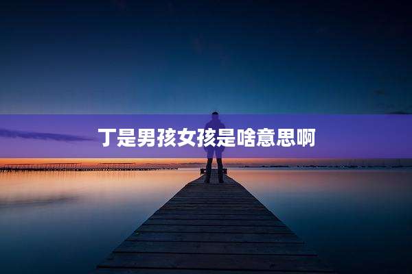 丁是男孩女孩是啥意思啊