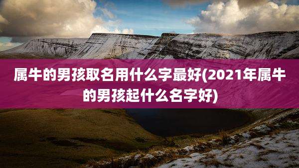 属牛的男孩取名用什么字最好(2021年属牛的男孩起什么名字好)