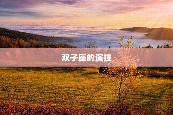 双子座的演技