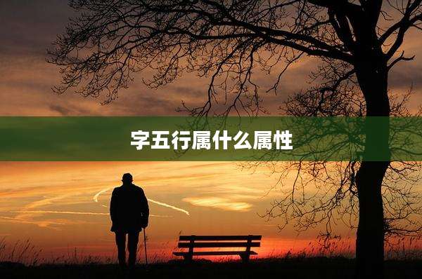 字五行属什么属性