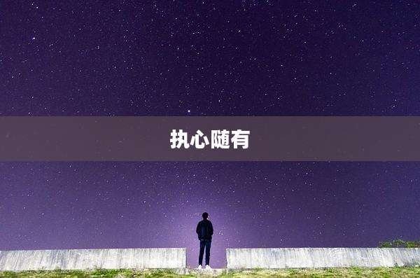 执心随有