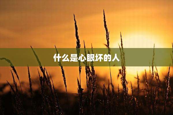 什么是心眼坏的人