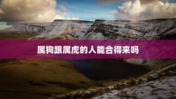 属狗跟属虎的人能合得来吗