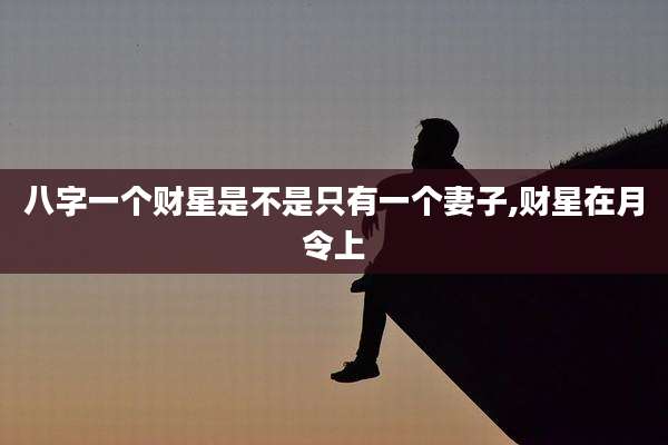 八字一个财星是不是只有一个妻子,财星在月令上