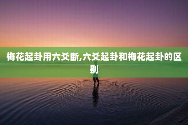 梅花起卦用六爻断,六爻起卦和梅花起卦的区别