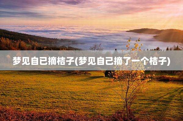 梦见自已摘桔子(梦见自己摘了一个桔子)