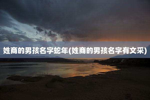 姓商的男孩名字蛇年(姓商的男孩名字有文采)