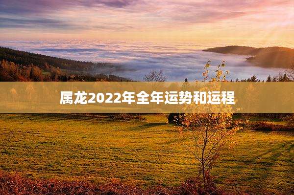 属龙2022年全年运势和运程
