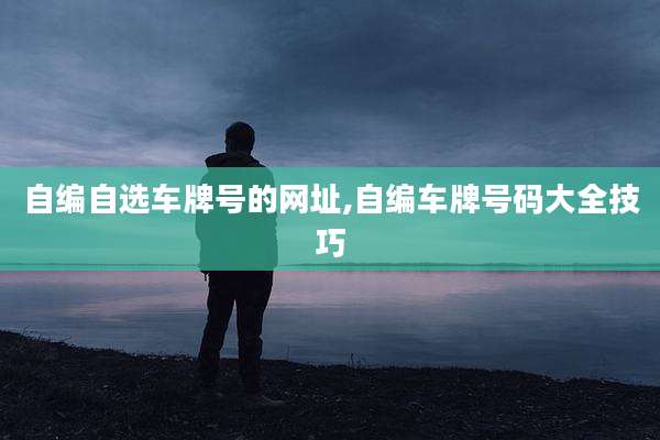 自编自选车牌号的网址,自编车牌号码大全技巧