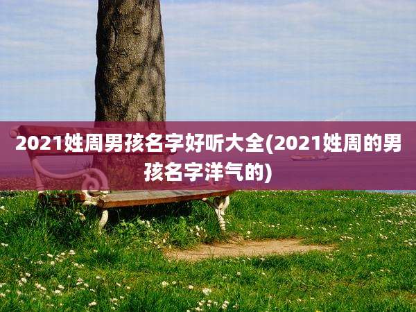 2021姓周男孩名字好听大全(2021姓周的男孩名字洋气的)