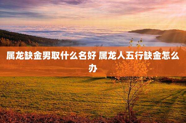 属龙缺金男取什么名好 属龙人五行缺金怎么办
